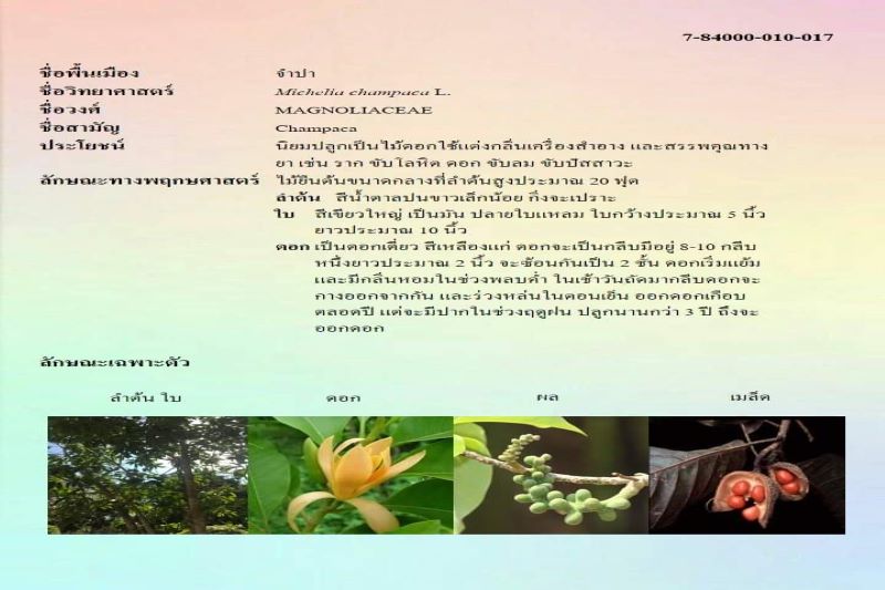Free HTML5 Bootstrap Template by FreeHTML5.co
